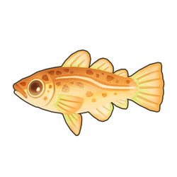 Cod Icon.png