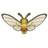 Coffee Clearwing Moth