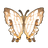 Common Mapwing