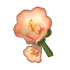 Coral Bellflower