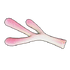 Coral Branch
