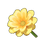 Cream Dwarf Dahlia