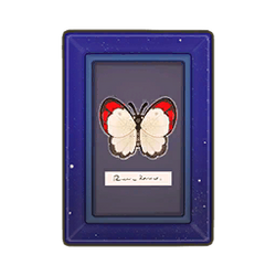 Crimson Tip Butterfly Wall Art Icon.png