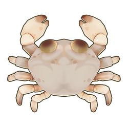 Crystal Crab Icon.png