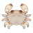 Crystal Crab