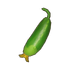 Cucumber