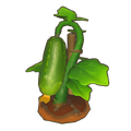 Plump Crop