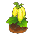 Strange Crop