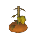 Withered