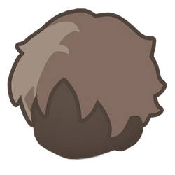 Curtains Icon.png