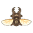 Dark Stag Beetle