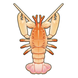 Deep-Sea Clawed Lobster Icon.png