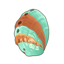 Disk Abalone Icon.png