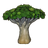 Dragon Blood Tree