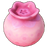 Dreamcrown Blueberry