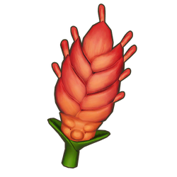 Dreamcrown Wheat Icon.png