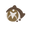 Dreamspark Eyes