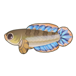 Dwarf Snakehead Icon.png