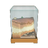 Eco-Tank