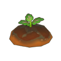 Freshly Planted