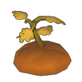 Withered