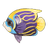 Emperor Angelfish