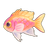 Fairy Basslet