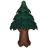 Fir