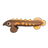 Fire Eel
