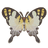 Five-Bar Swordtail