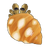 Flat-Clawed Hermit Crab