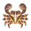 Flat Rock Crab