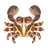 Flat Rock Crab