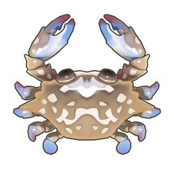 Flower Crab Icon.png