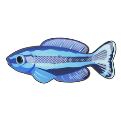 Four-Line Wrasse Icon.png