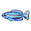 Four-Line Wrasse