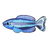 Four-Line Wrasse