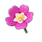 Fuschia Moss Rose