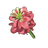 Fuschia Violet