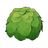 Gardenia Bush