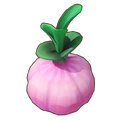 Dreamcrown Crop