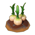 Matured Crop