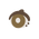 Gentle Round Eyes