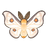 Ghostly Silkmoth
