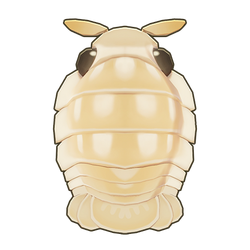 Giant Isopod Icon.png