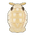 Giant Isopod