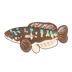Giant Snakehead Icon.png