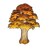 Ginkgo