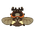 Gold-Spotted Flower Chafer