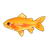 Golden Rainbow Trout